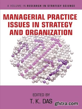 Managerial Practice Issues in Strategy and Organization