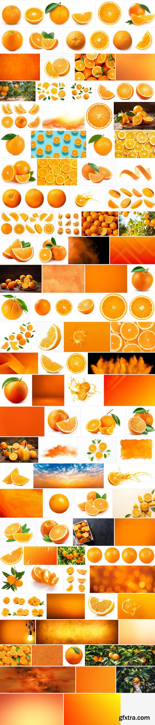 Orange 100xJPG