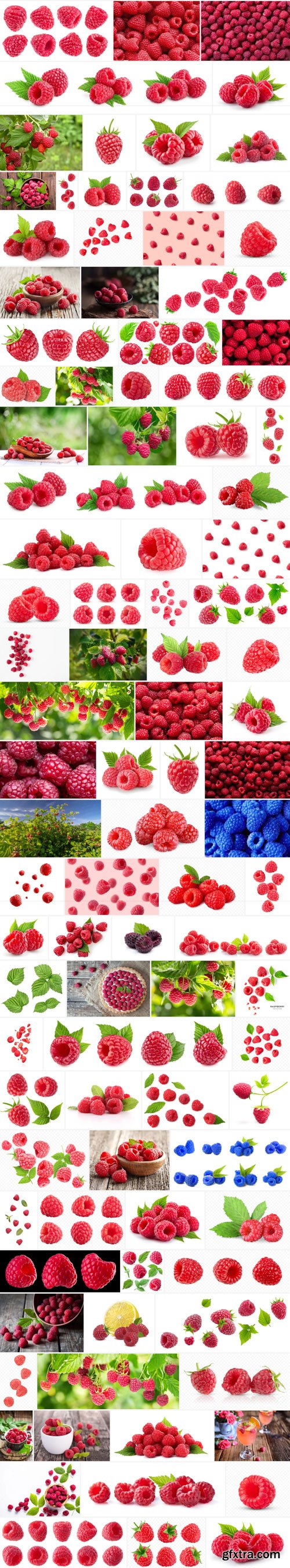 Stock Photo - Raspberry