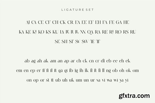 Cerost Modern Ligature Typeface HLNZ8Q2