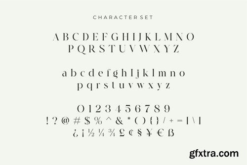 Cerost Modern Ligature Typeface HLNZ8Q2