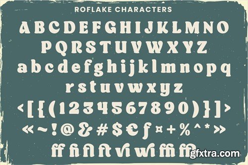 Roflake Boldly Vintage Style Font AKXHK2U