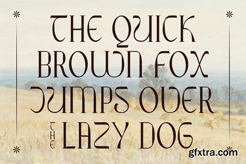 Ribgy Stylish Serif Font WZZYFT4