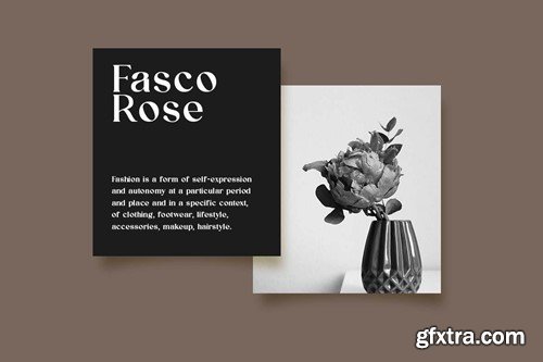 Classy Voguish Classic Serif Font GTD45GU