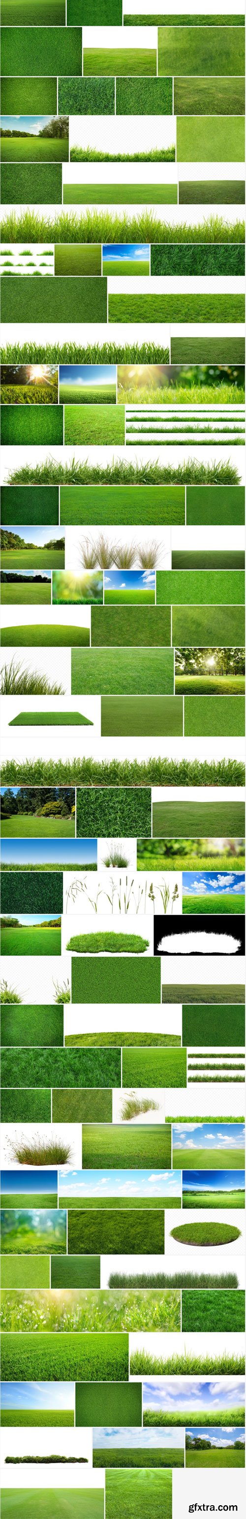 Stock Photo - Grass