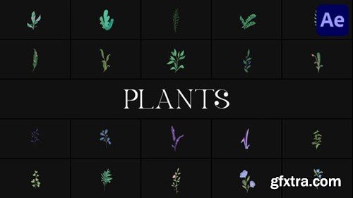 Videohive Plants for After Effects 51581124