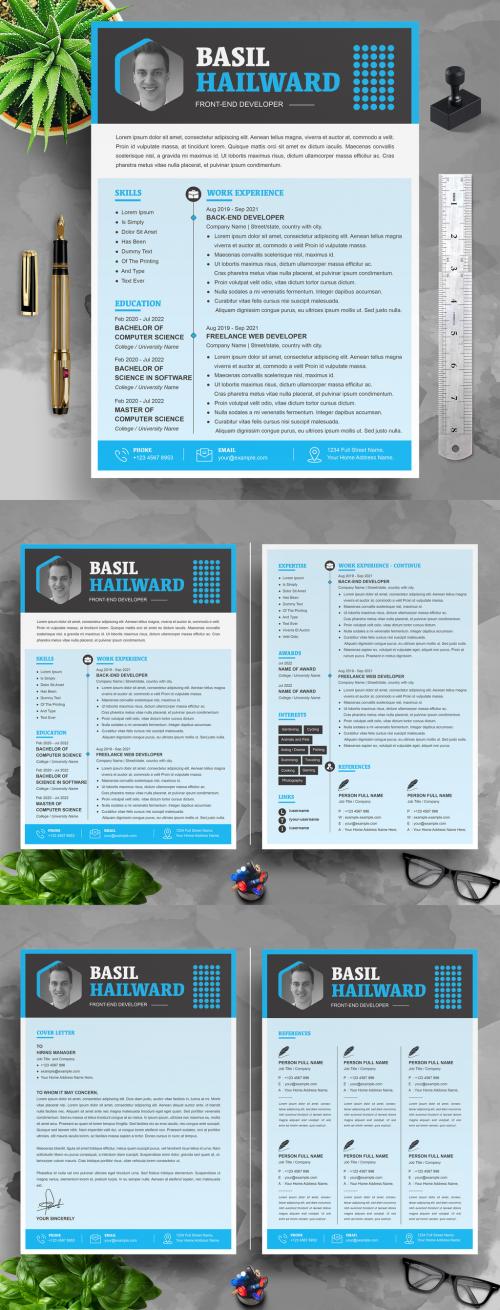 Professional Developer Resume CV Layout