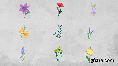 Videohive Flowers Elements 51586187