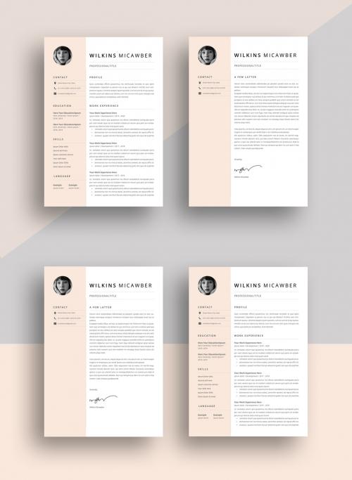 Professional Resume Layout