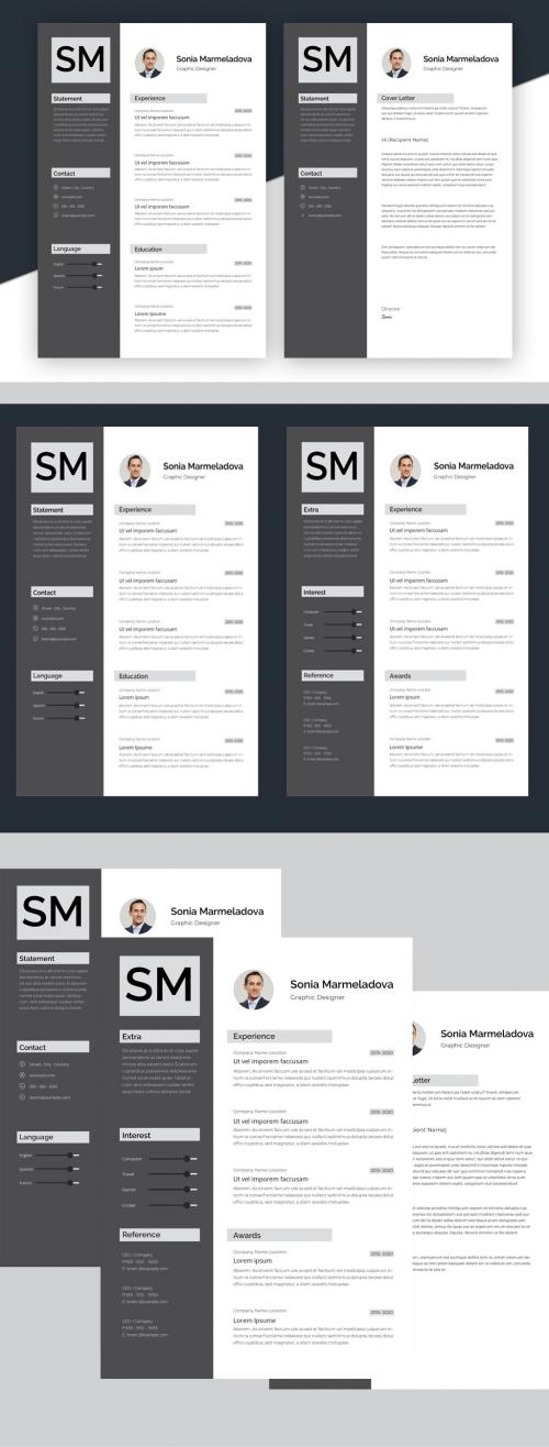 Professional Resume Layout