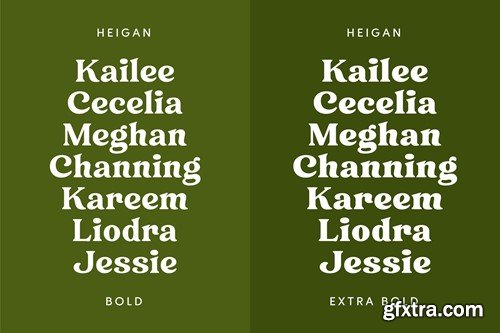 Heigan - Retro Font Family QFM7DQG