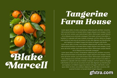 Heigan - Retro Font Family QFM7DQG