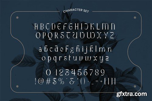 Ribgy Stylish Serif Font WZZYFT4