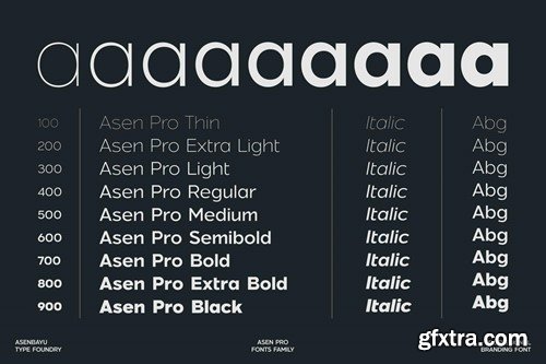 Asen Pro - Sans Serif Fonts CF5ULGT