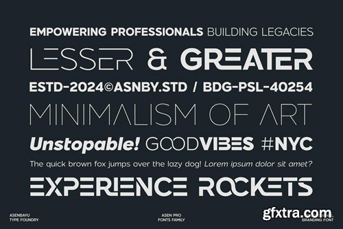 Asen Pro - Sans Serif Fonts CF5ULGT