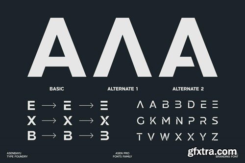 Asen Pro - Sans Serif Fonts CF5ULGT