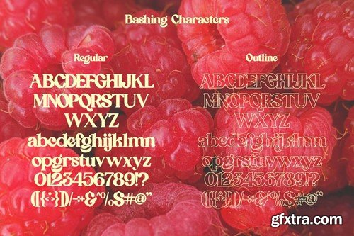 Agetya Decorative Serif Typeface N8MY8WS