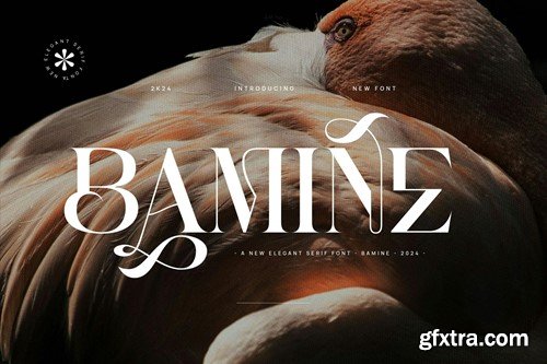 Bamine - Elegant & Stylish Serif L6EZRKT