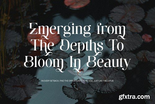 Bamine - Elegant & Stylish Serif L6EZRKT