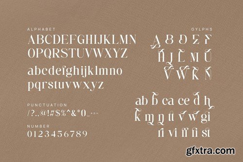 Bamine - Elegant & Stylish Serif L6EZRKT