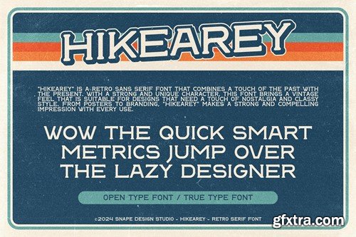 Hikearey - Retro Serif Font Q48S5NW