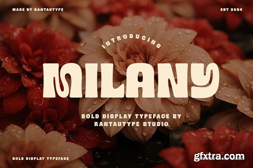 Milany Bold Display Typeface UKEFM5F