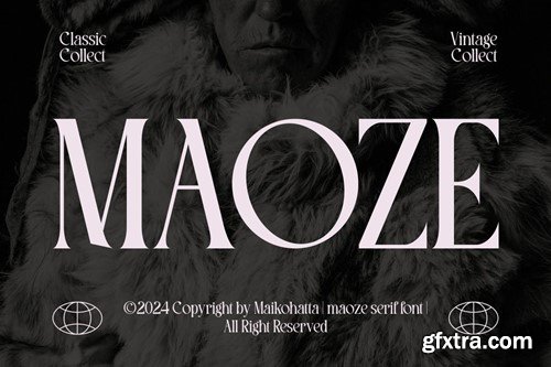 Maoze - Classic Serif Font NZ6THTX