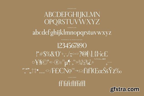 Sheftira Modern Serif Font LPFPX5W