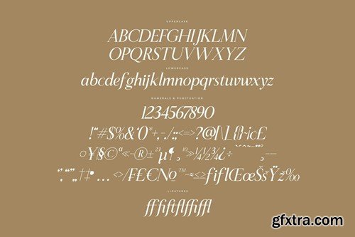 Sheftira Modern Serif Font LPFPX5W