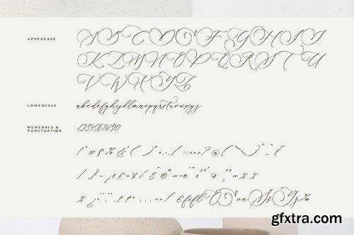 Amotthela Infinite Calligraphy Font M23P3JY