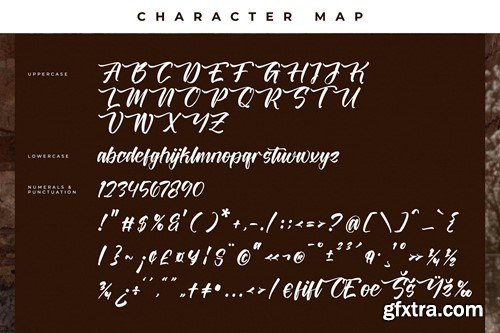 Battrich Delighta Handwritten Script Font XC9QYXR