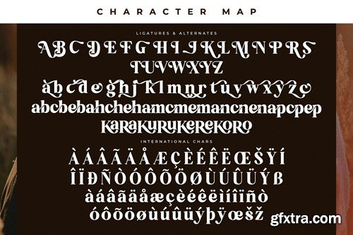 Bredga Decorative Serif Font BRV5WRB