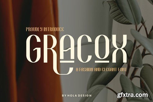 Gracox - Sans Serif & Luxury Font Y5TR47P