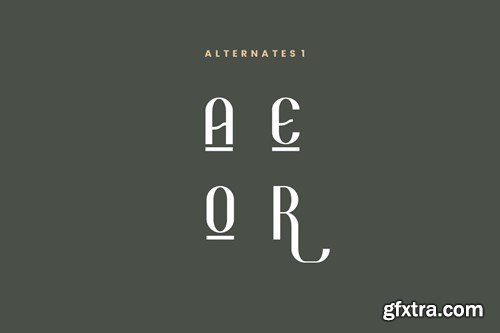 Gracox - Sans Serif & Luxury Font Y5TR47P