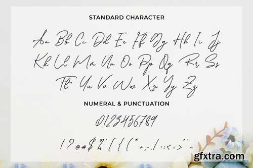 Anstonishing - Monoline Font RJL376K