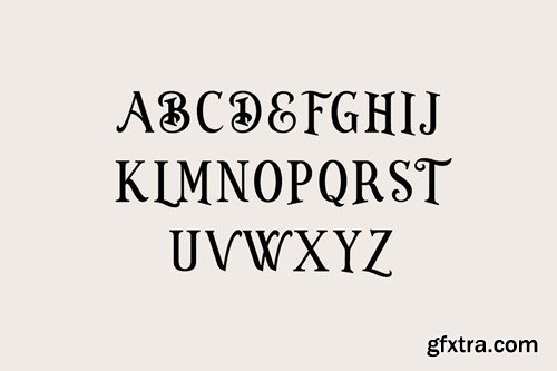 Brickworks Vintage Display Serif Font DRBBR9U