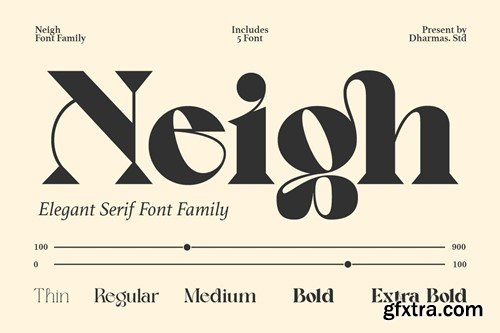 Neigh - Modern Luxury Logo Font SLXVY3F