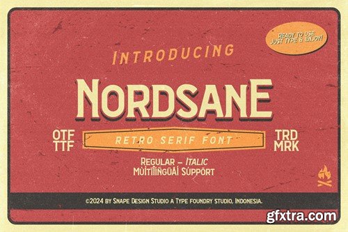 Nordsane - Retro Serif Font DPAPAFP