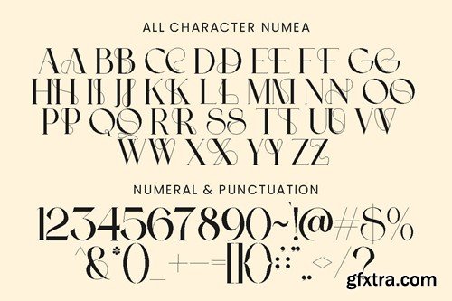 Numea - Decorative Modern Display Font GN5J86D