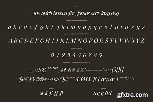 Ballyane - Italic Display Font NXPJ8CX