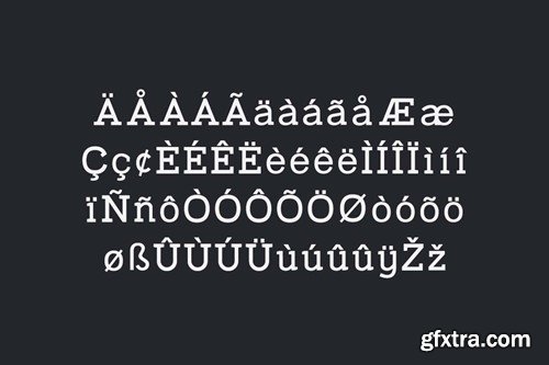 Defray Slab Font Family V3842VP