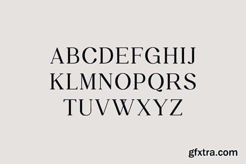 Daily Magazine Serif Display Font 5H5YKD8