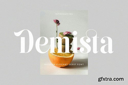 Demista - Modern Elegant Serif Font 294FPBE