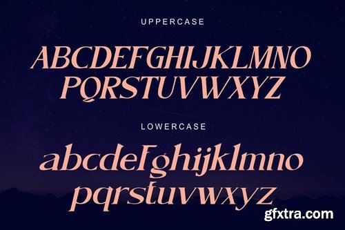 Ridawy - Decorative Modern Serif WWK3BY4