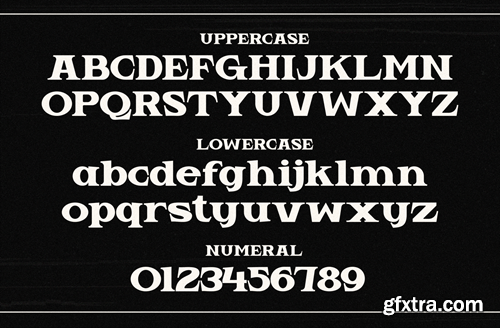 Vemeta - Modern Serif Font ZTHLLLK