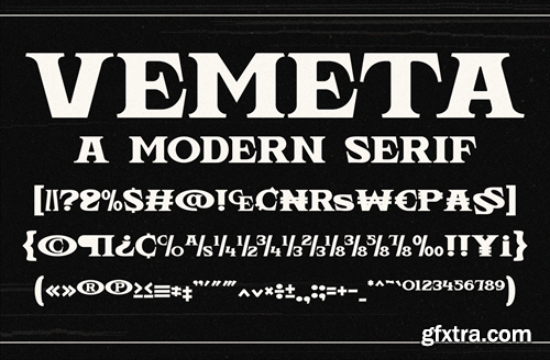 Vemeta - Modern Serif Font ZTHLLLK