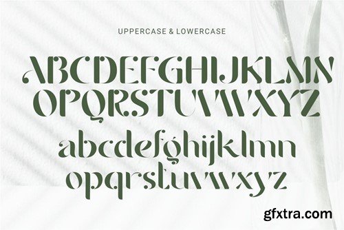 Avgamis - Elegance Luxury Stencil Serif 44KZ5Y9