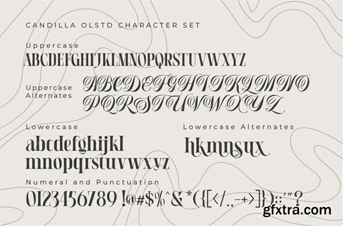 Candilla - Modern Serif 2EFQ9H2