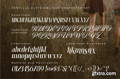 Candilla - Modern Serif 2EFQ9H2