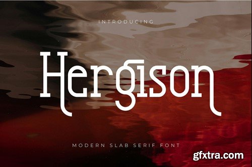 Hergison 29NE5HX